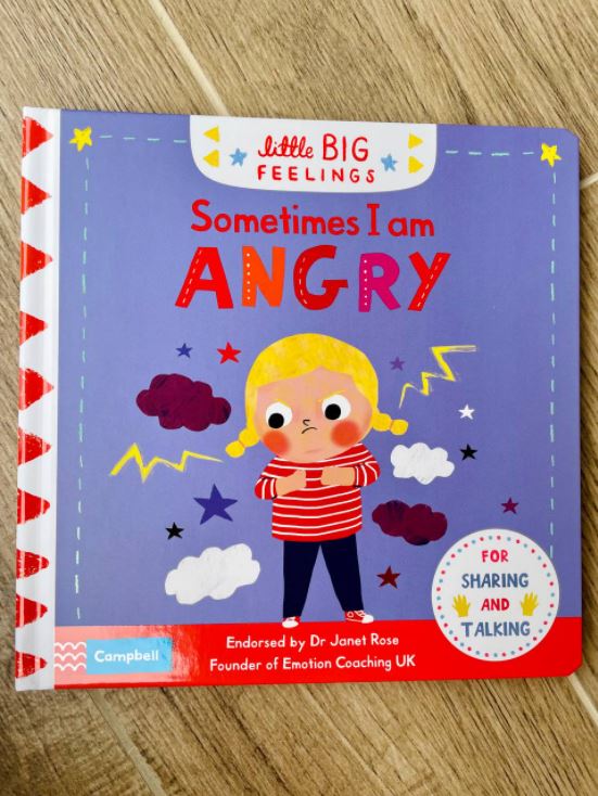 Little Big Feelings Book Series
