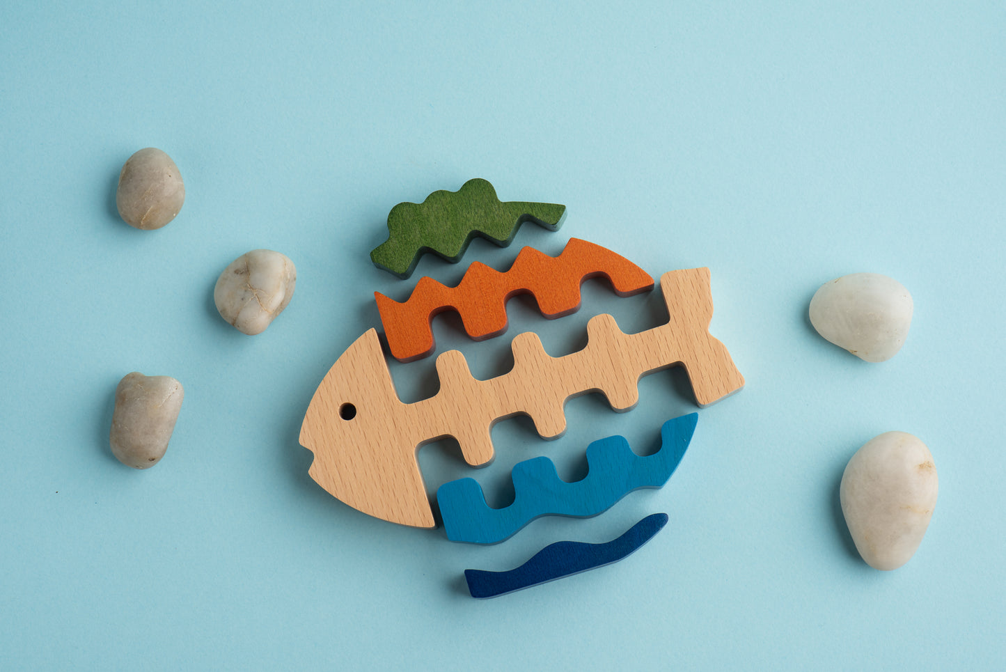 The Fish Stacker Puzzle