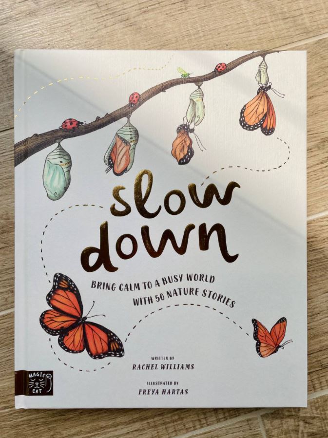 Slow Down by Rachel Williams