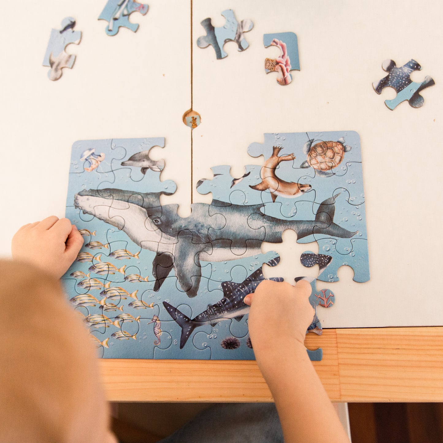 Ocean "Take Me With You" Puzzle