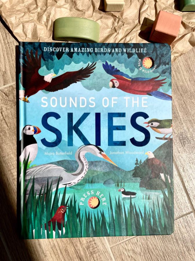 Sounds of the Skies by Moira Butterfield